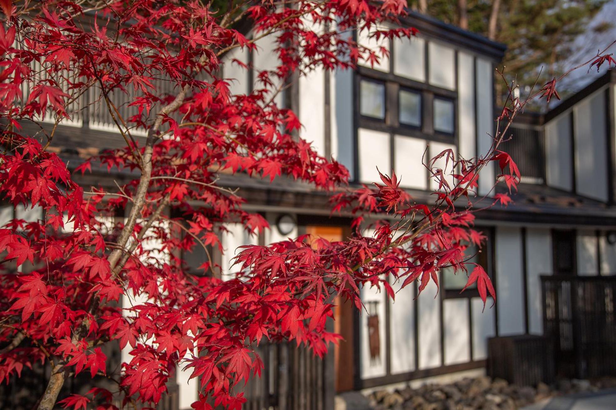 Glamping Villa Hanz Kawaguchiko Fujikawaguchiko Eksteriør billede